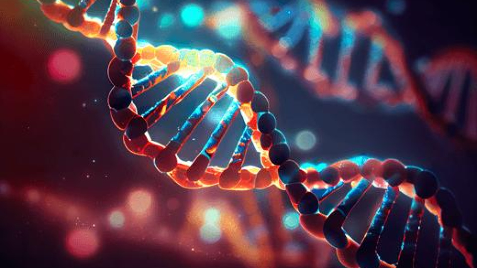 8.5 Yıl Sonra Gelen Umut: Erdem'in Nadir Hastalık Zaferi